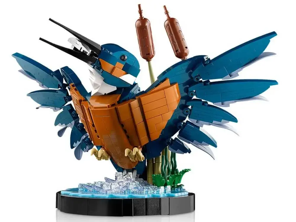 LEGO Icons 10331 Kingfisher Bird box back