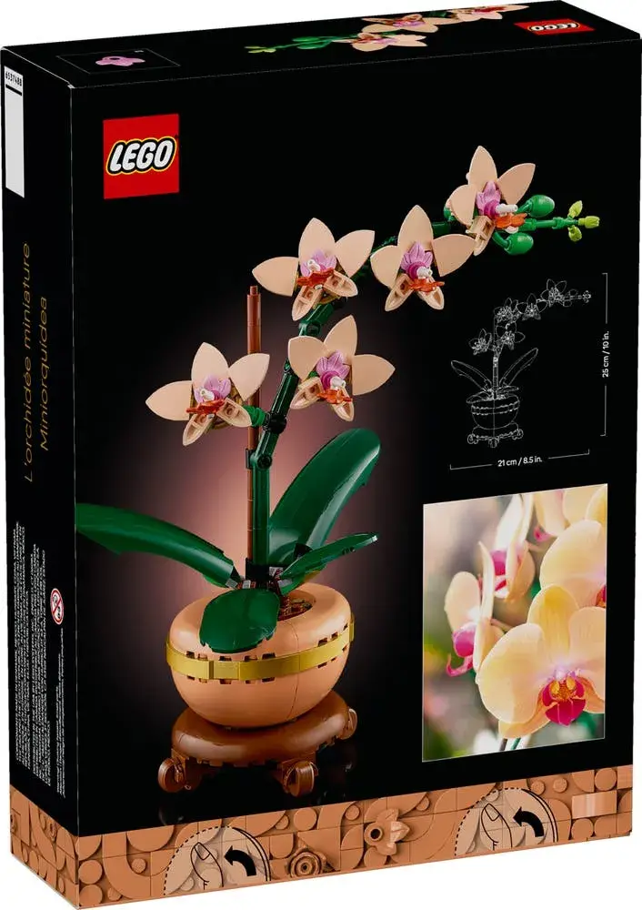 LEGO Icons 10343 Mini Orchid box back