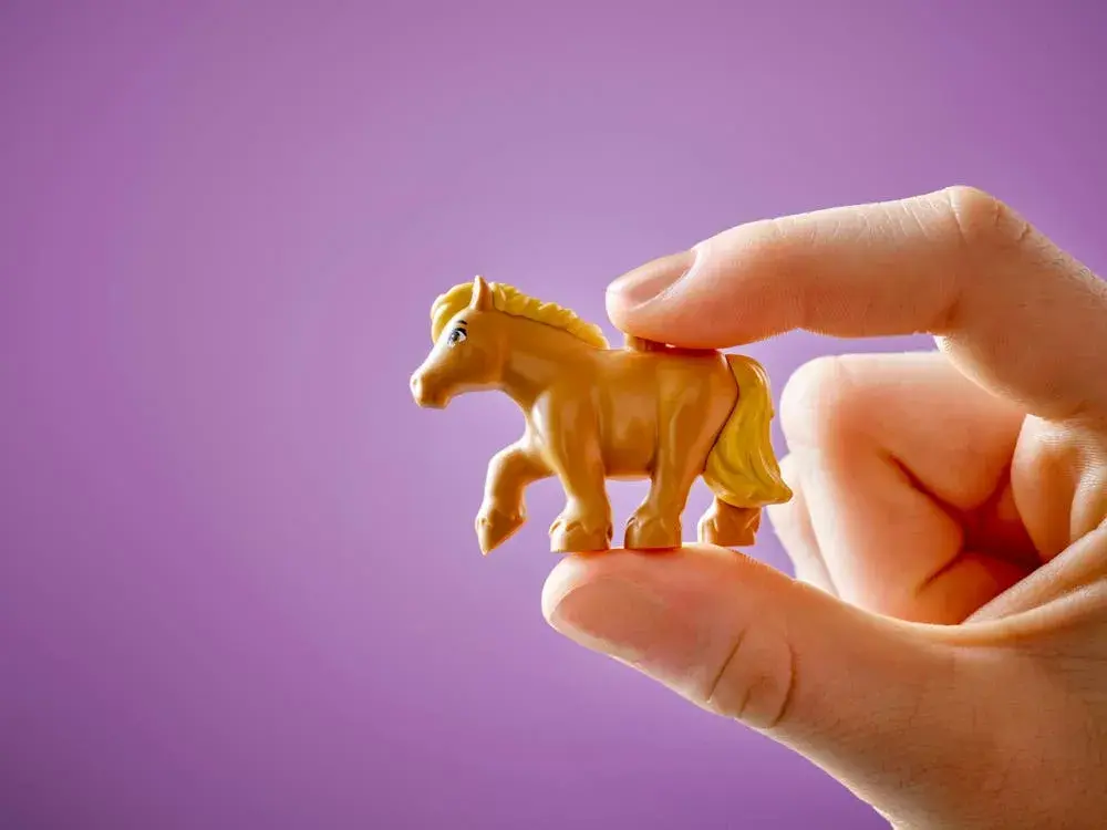 LEGO Friends 42654 Pony Ranch & Stable details